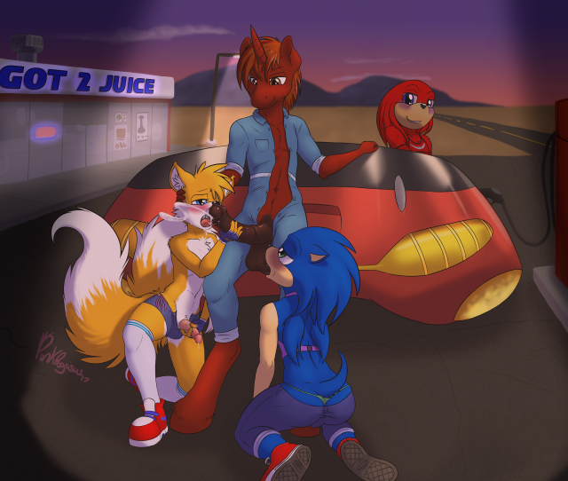 knuckles the echidna+sonic the hedgehog+tails