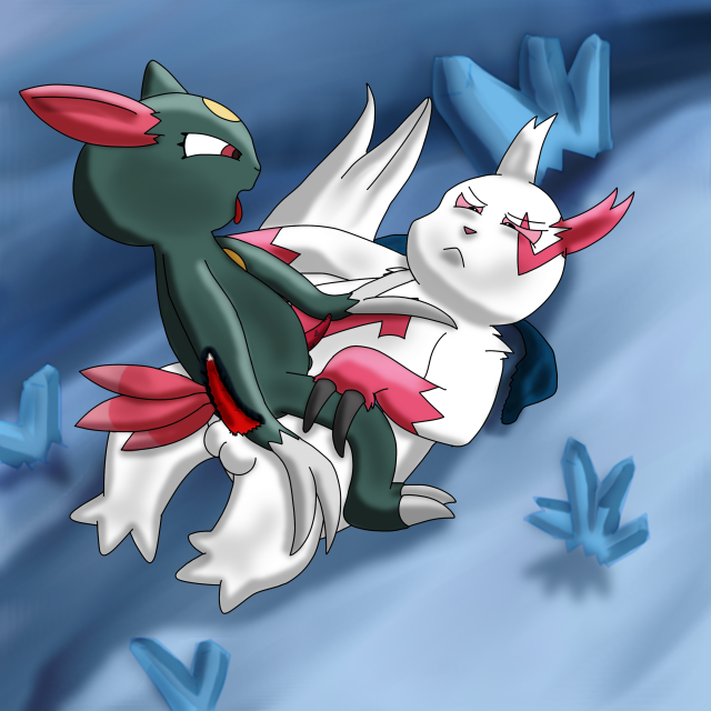 sneasel+zangoose