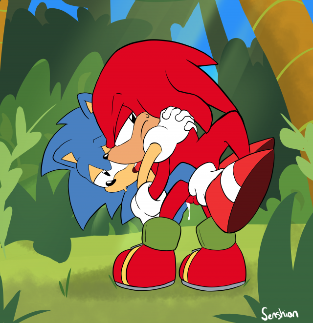 knuckles the echidna+sonic the hedgehog