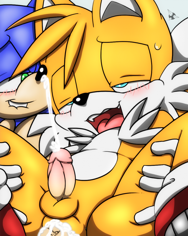 sonic the hedgehog+tails