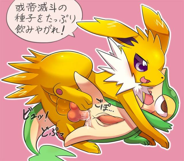 jolteon+snivy