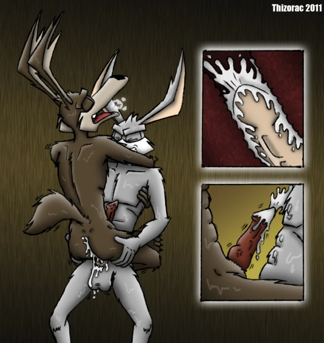 ace bunny+tech e coyote