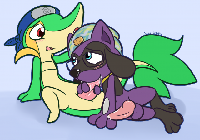 riolu+snivy