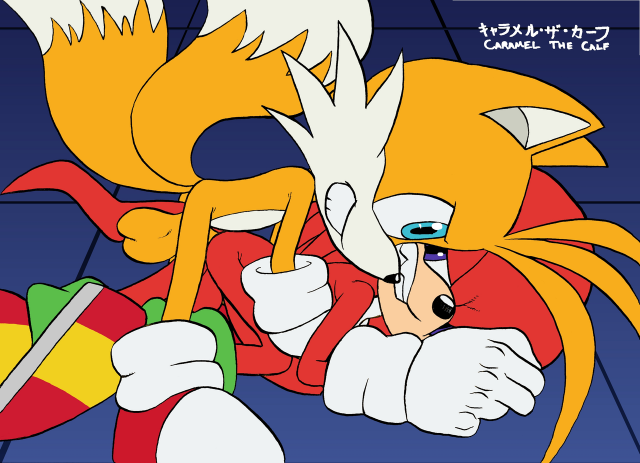 knuckles the echidna+tails