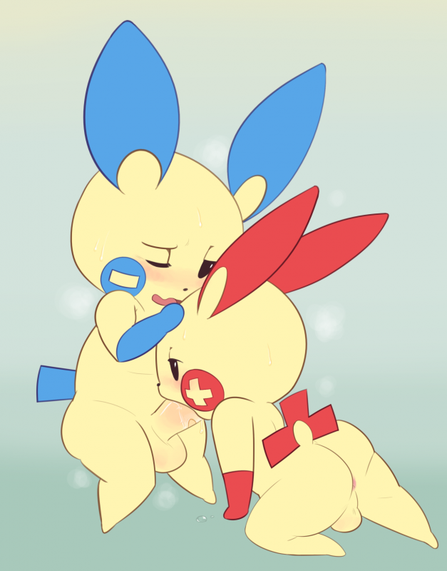 minun+plusle