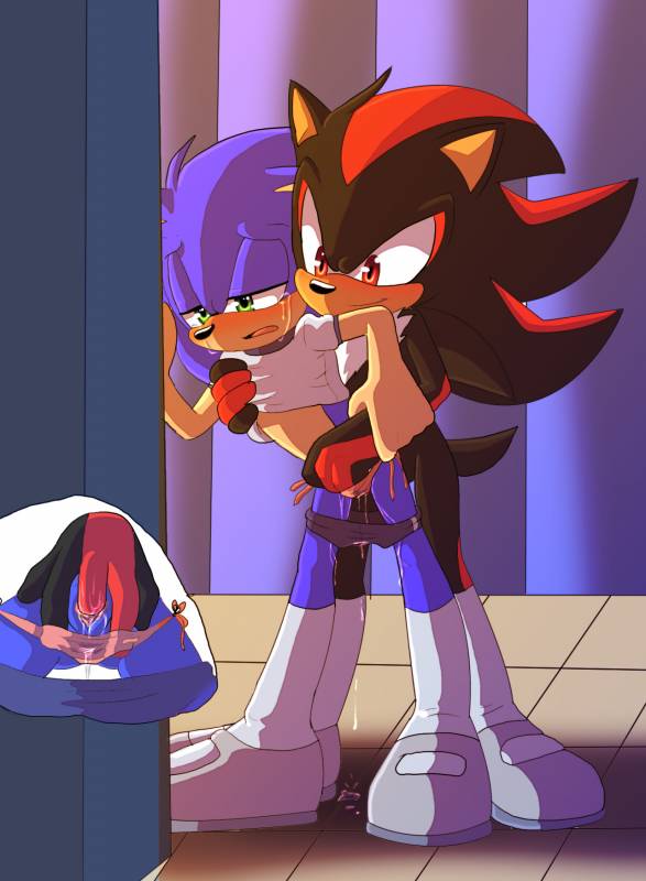 shadow the hedgehog+sonic the hedgehog