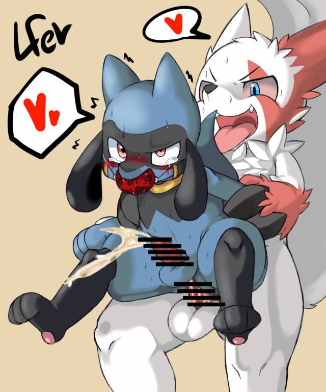 riolu+zangoose