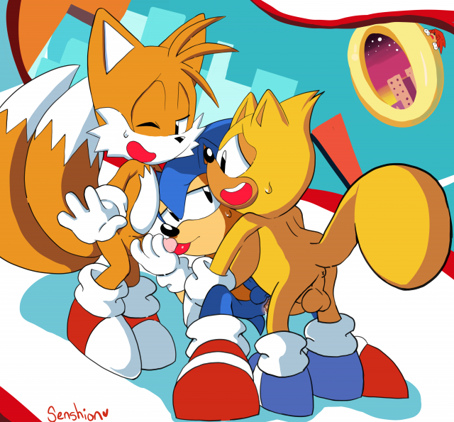 knuckles the echidna+ray the flying squirrel+sonic the hedgehog+tails