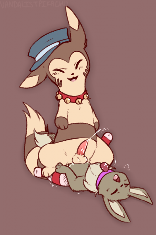 eevee+furret