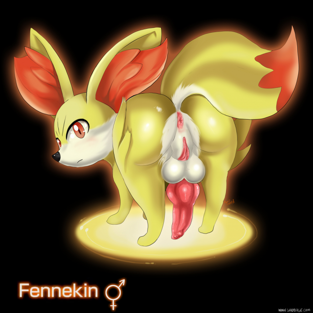 fennekin