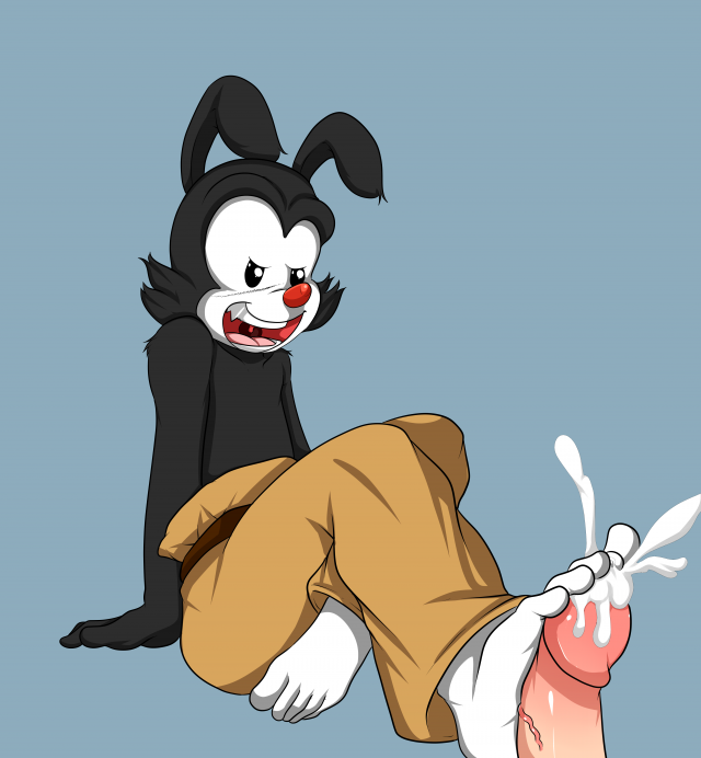 yakko warner