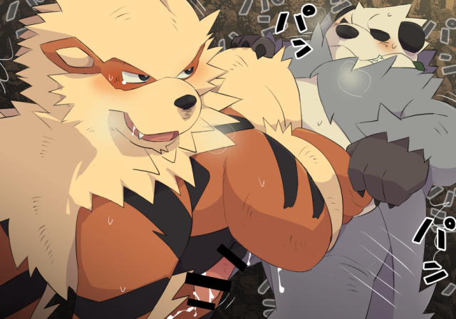 arcanine+pangoro