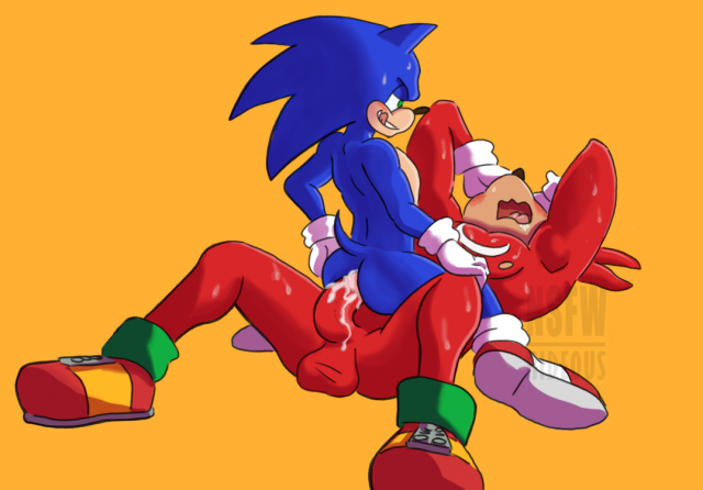 knuckles the echidna+sonic the hedgehog