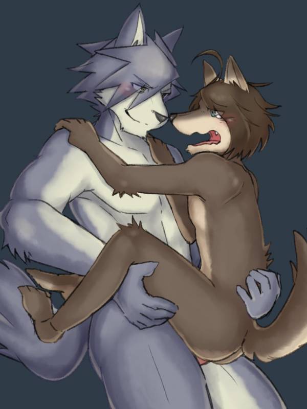 kouya (morenatsu)