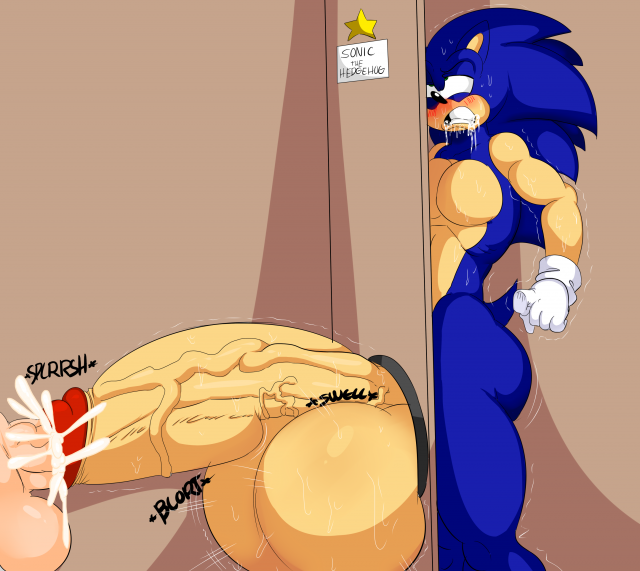 sonic the hedgehog