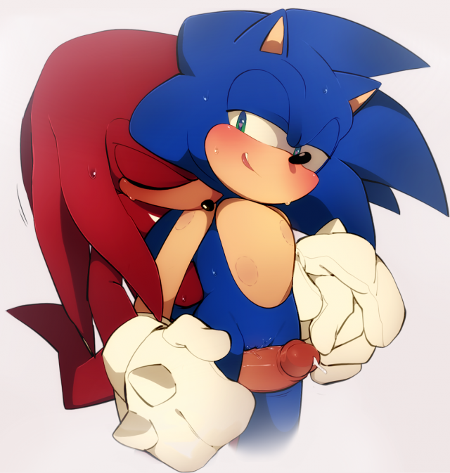 knuckles the echidna+sonic the hedgehog