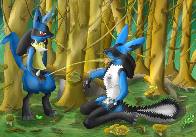 lucario+original character