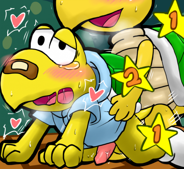 koopa troopa+koops