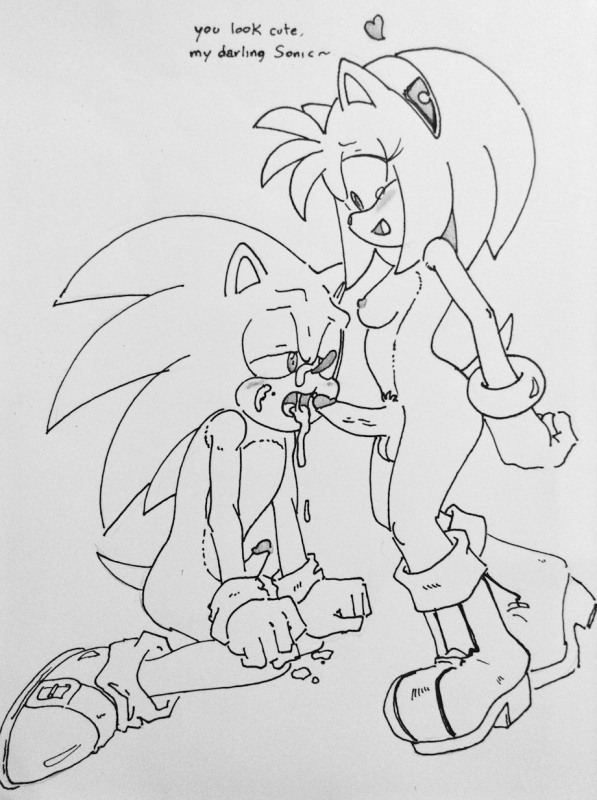 amy rose+sonic the hedgehog