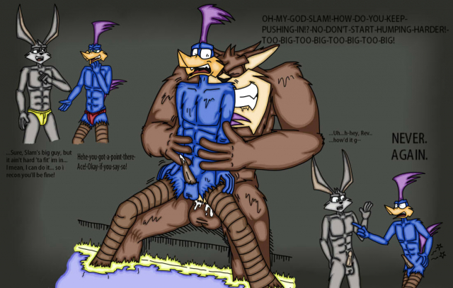 ace bunny+rev runner+slam tasmanian