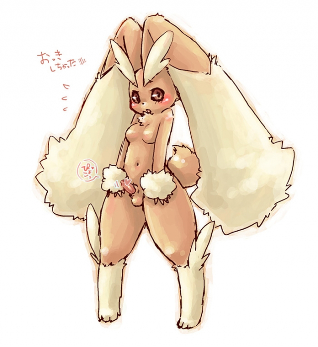 lopunny