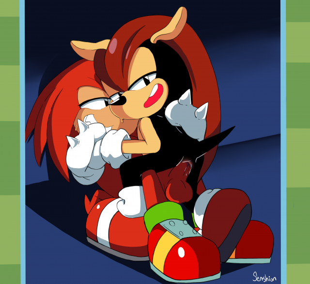 knuckles the echidna+mighty the armadillo