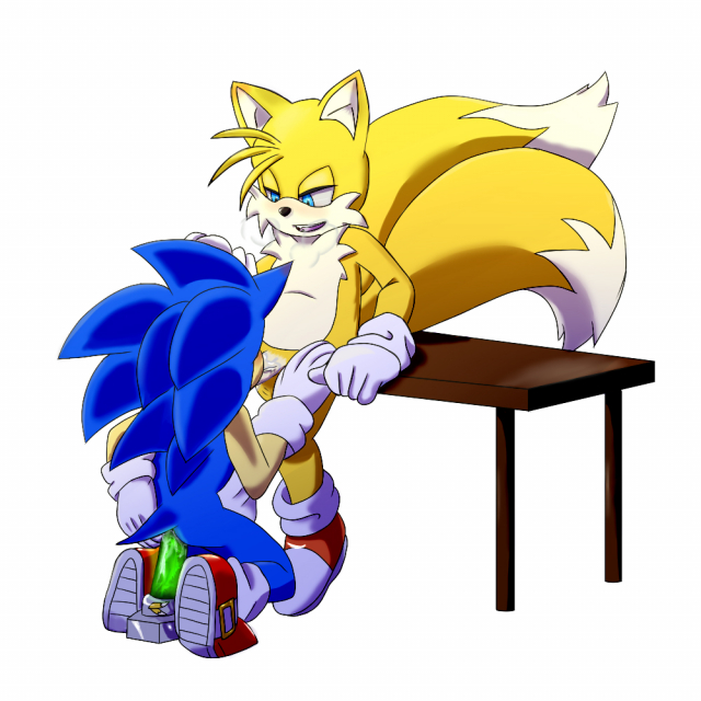 sonic the hedgehog+tails