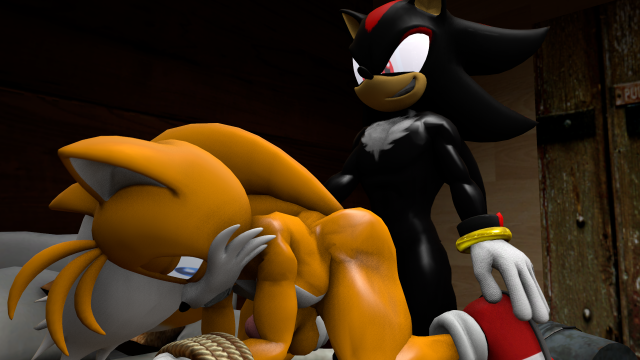 shadow the hedgehog+tails