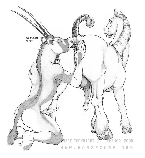 oryx