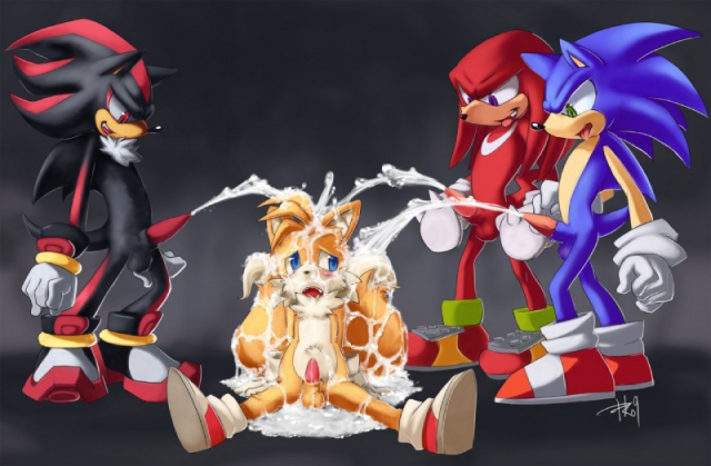 knuckles the echidna+shadow the hedgehog+sonic the hedgehog+tails