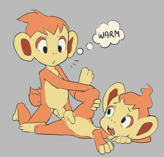 chimchar