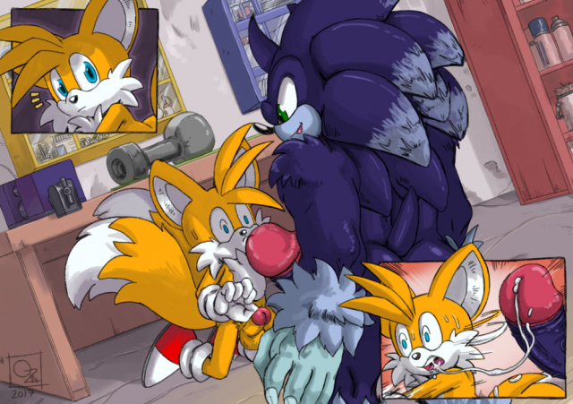 sonic the hedgehog+sonic the werehog+tails