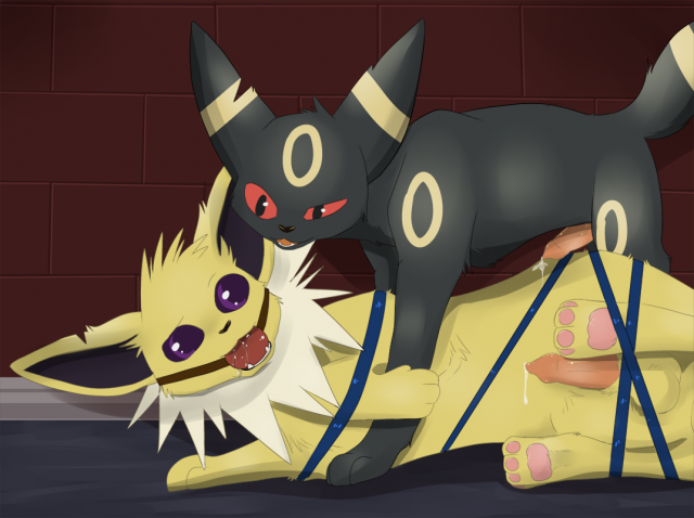 jolteon+umbreon+watt+yami