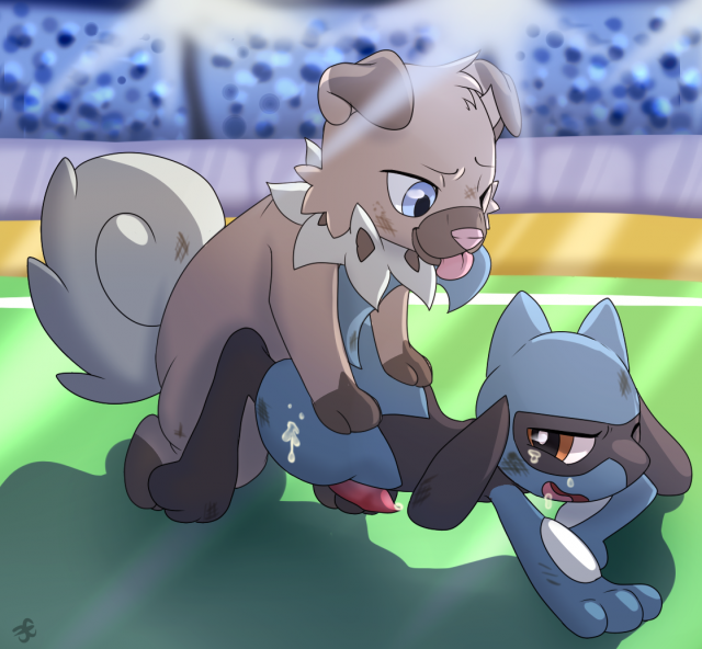 riolu+rockruff