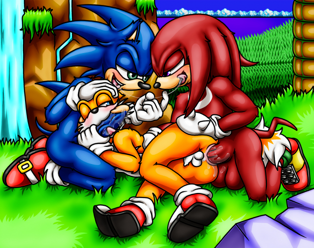 knuckles the echidna+sonic the hedgehog+tails