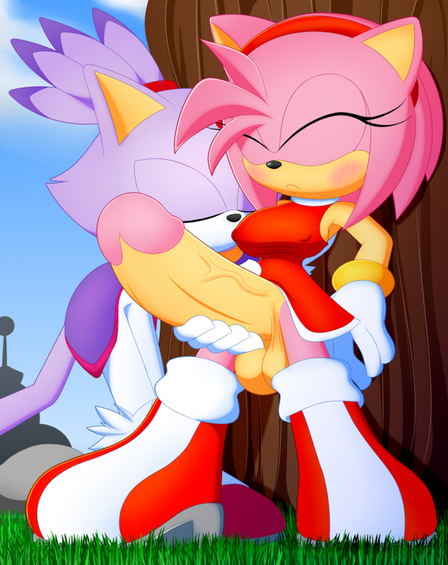 amy rose+blaze the cat