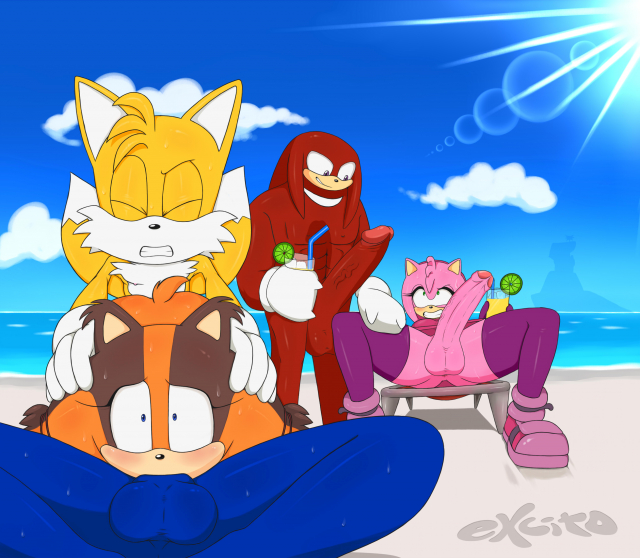 amy rose+knuckles the echidna+sonic the hedgehog+sticks the jungle badger+tails