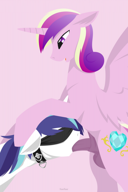 princess cadance (mlp)+shining armor (mlp)