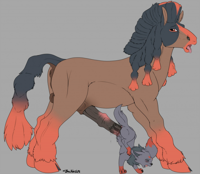 mudsdale+zorua