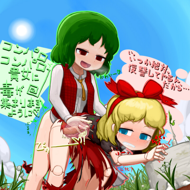 kazami yuuka+medicine melancholy