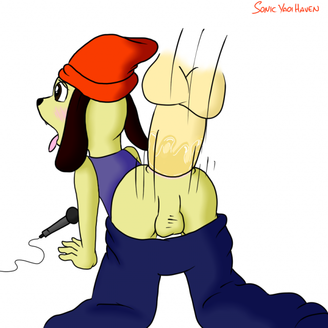 parappa