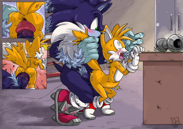 sonic the werehog+tails