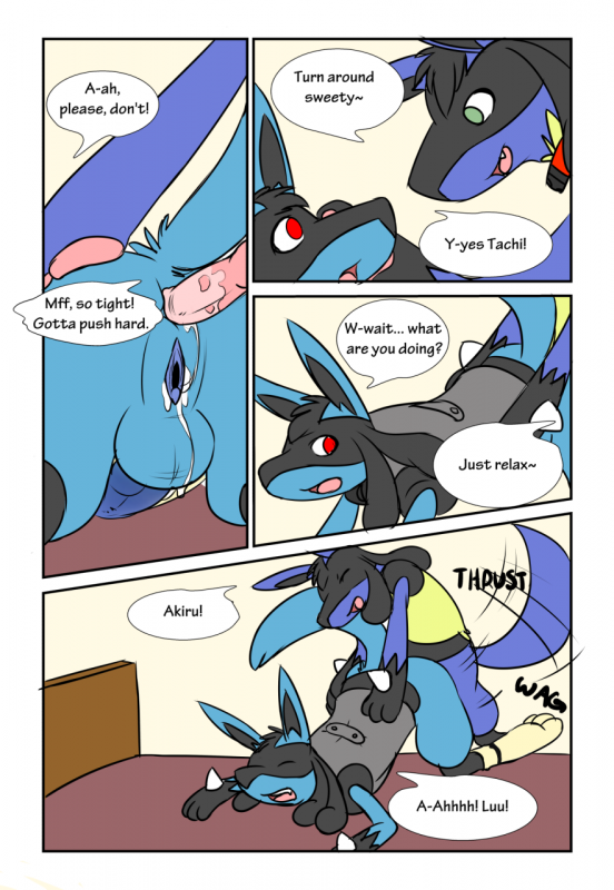 akiru cario+lucario