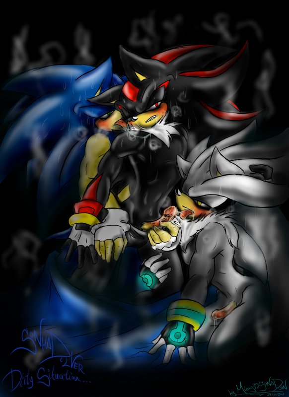 shadow the hedgehog+silver the hedgehog+sonic the hedgehog