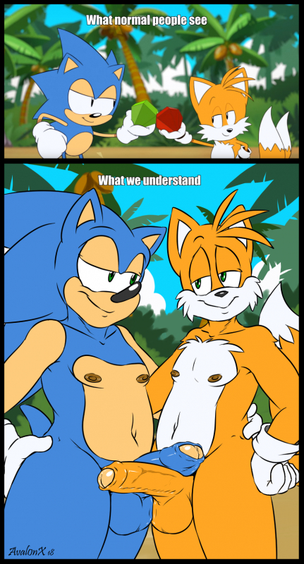 sonic the hedgehog+tails