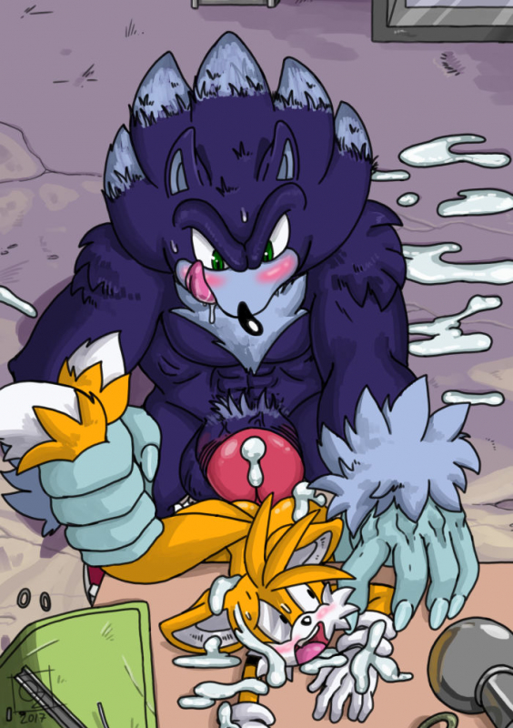 sonic the werehog+tails