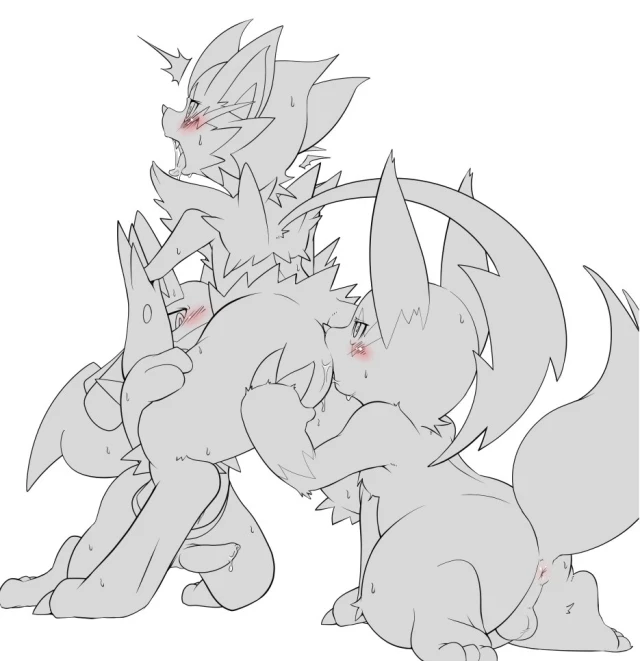 lucario+zangoose+zeraora
