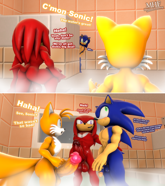 knuckles the echidna+sonic the hedgehog+tails