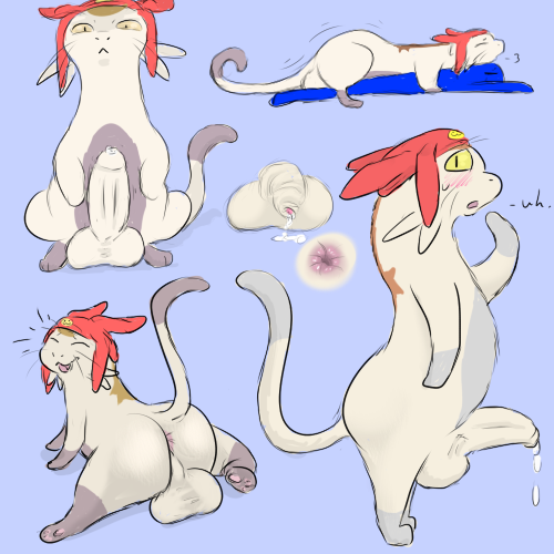 meow (space dandy)