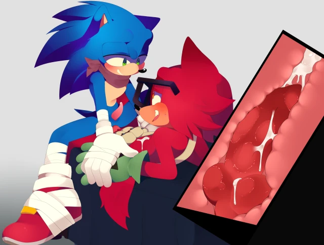 custom character (sonic forces)+sonic the hedgehog